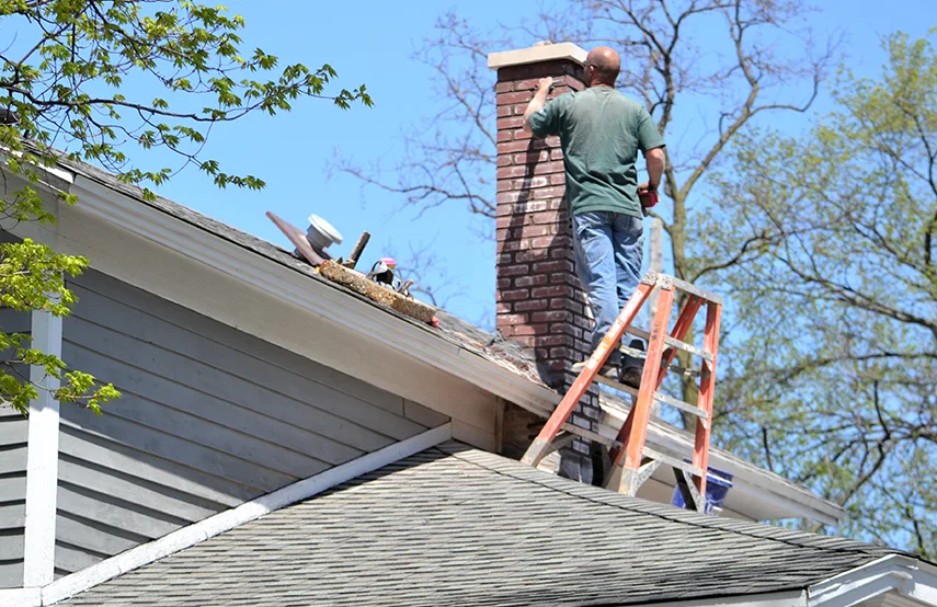 Chimney & Fireplace Inspections Services in Rohnert Park, CA